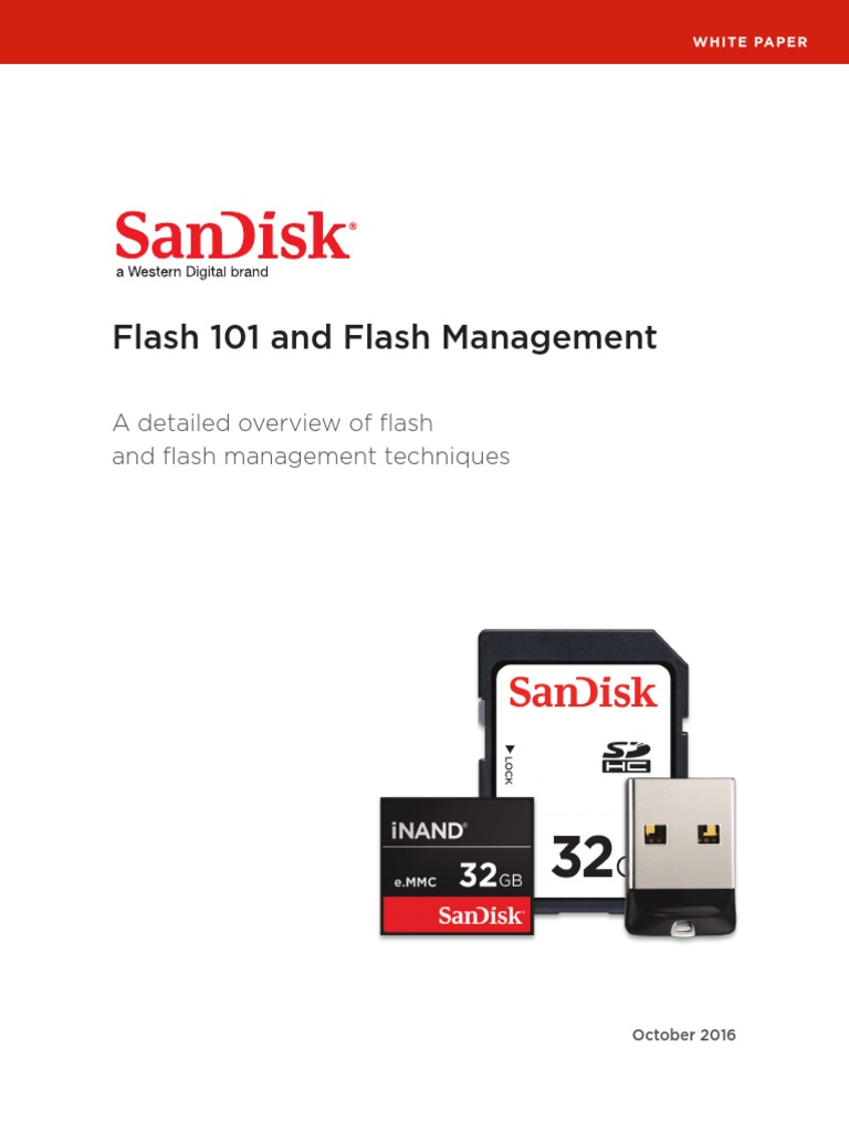 A Detailed Overview of Flash and Flash Management Techniques | PDF ...