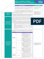 Guia Preguntas Respuestas Suspension Perfecta de Labores 10jul