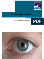 Aula 1 Anatomia Ocular