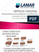 Epiteliogingival 150318195555 Conversion Gate01