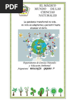 Guia Didactica Primer Periodo | PDF