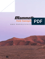 Hole Sweeper: WWW - Mammothtech.co - Za
