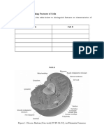 Distinguishing features of cells Activity 2