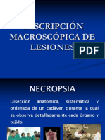 Descripcion 20lesiones Necropsia 140110154639 Phpapp02