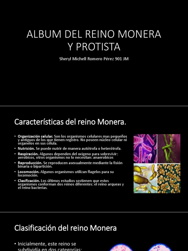 Album Del Reino Monera y Protista | PDF | Algas | Protozoos