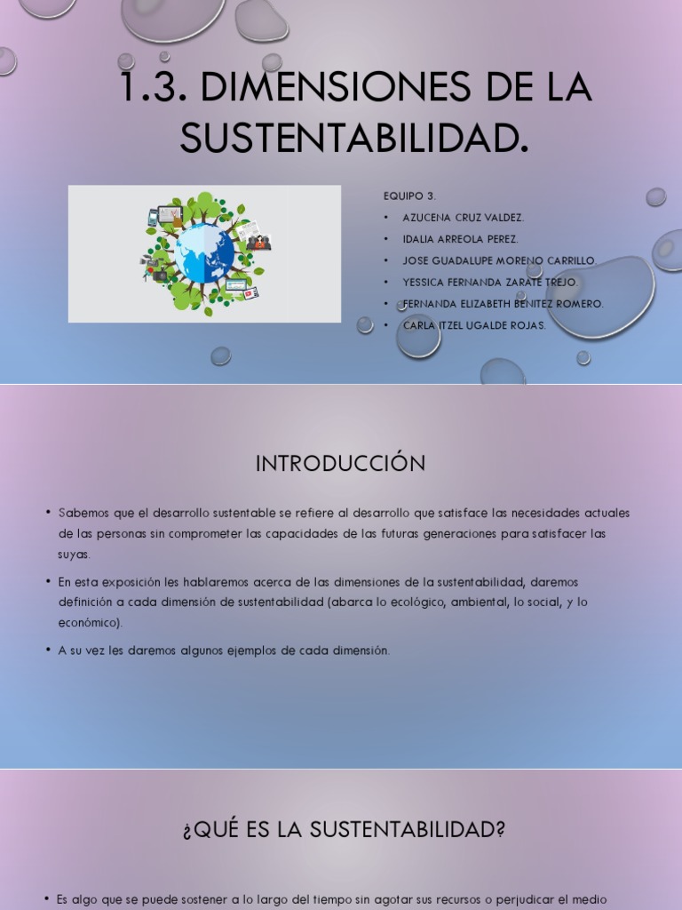 Dimensiones de la Sustentabilidad | PDF | Sustentabilidad | Entorno natural