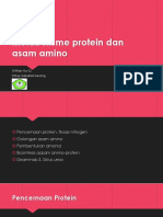 Metabolisme Protein Dan Asam Amino