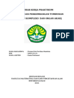 Prenan Dito Perdana Nasution - 2003113112 - Jaringan Kompleks Dan Akar-Dikonversi