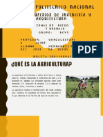 Agricultura Prehistorica