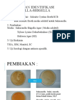 Isolasi Identifikasi Salmonella Shigella