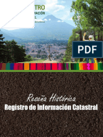 _Reseña Histórica de RIC