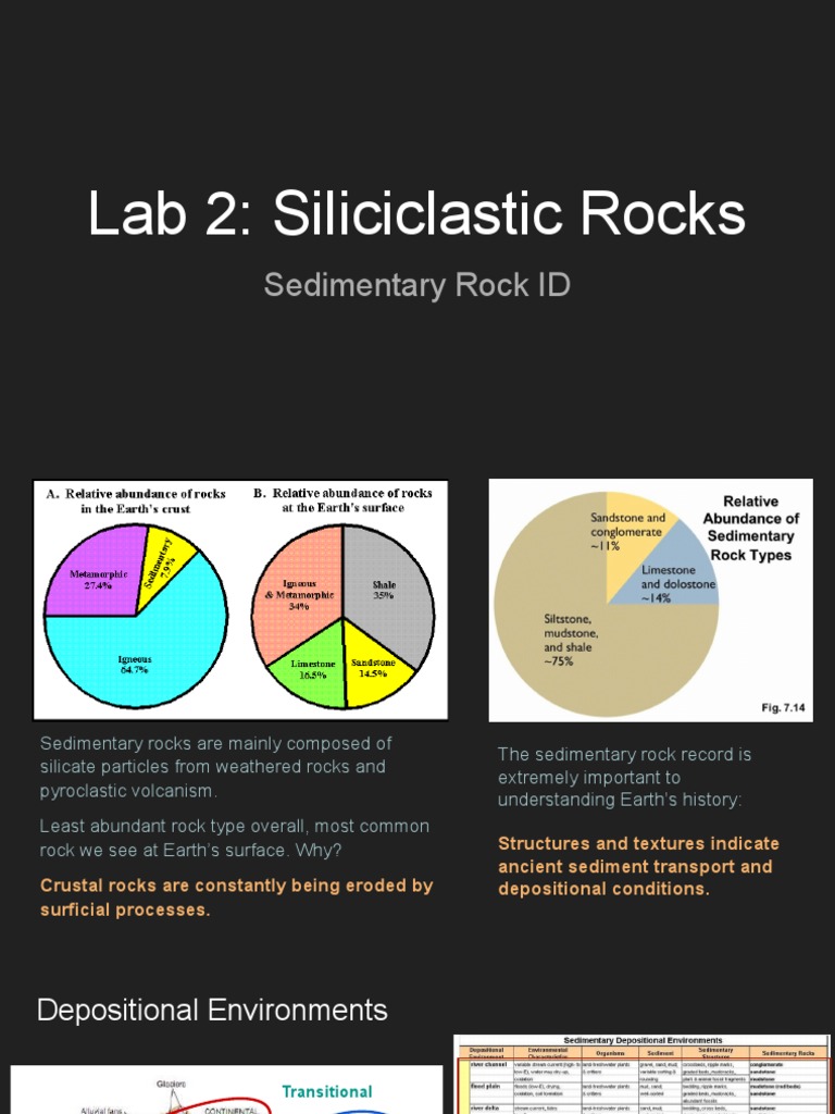 Siliciclastic Rocks and Their Textures | PDF | Sedimentary Rock | Sandstone