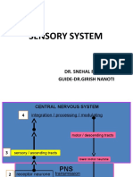 Sensory System: Dr. Snehal Pallod Guide-Dr - Girish Nanoti