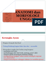 3a.anatomi Dan Morfologi Unggas