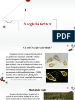 Biologie 2