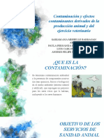 Contaminación y Efectos Contaminantes Derivados de La Producción Animal y Del Ejercicio Veterinario