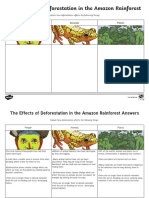 The Effects of Deforestation in The Amazon Rainforest: People Animals Plants