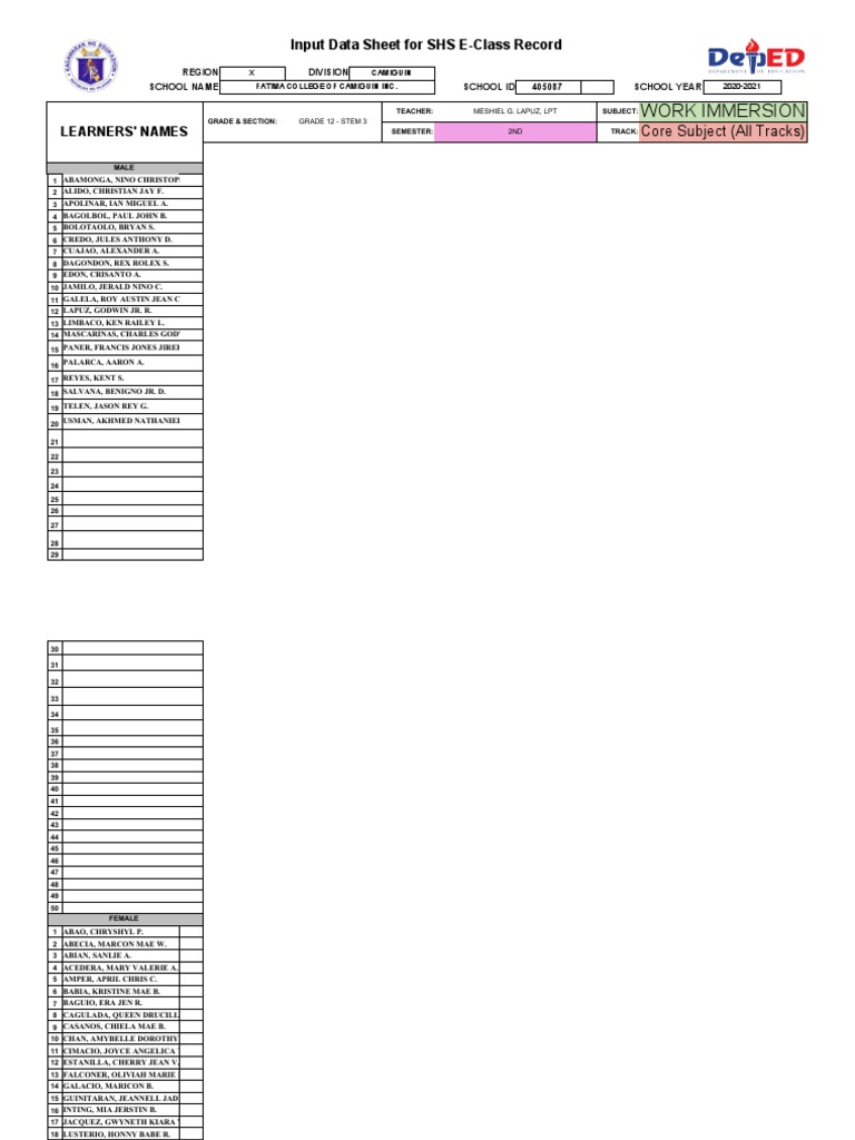 Work Immersion: Input Data Sheet For SHS E-Class Record | PDF