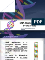 GROUP1-DNA Replication in Prokaryotes