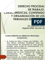 DERECHO PROCESAL LABORAL COLECTIVO Características, Contenido y Organización de Tribunales Agosto 2020