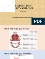 Anatomi Dan Morfologi Gigi