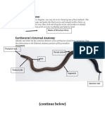 Earthworm Lab Worksheet