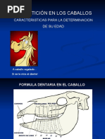 Download Denticion by Bri Trujillo SN50494161 doc pdf