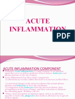 Acute Inflmmation