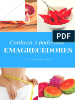 download-100736-EBOOK 3 PODEROSOS EMAGRECEDORES-2984216