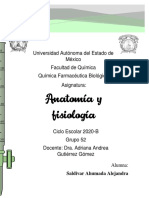 Generalidades de Anatomía y Fisiología