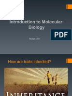 Introduction To Molecular Biology: Mutaz Amin