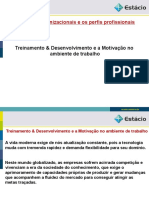 Treinamento & Desenvolvimento e A Motivação No Trabalho