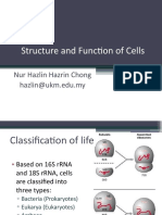 Structure and Function of Cells Explained