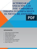 Caracterizar La Organización Las Diferente Unidades D Terapia