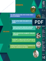 l1 D Analisis de Referentes