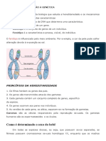 ATIVIDADE ADAPTADA - Introdução À Genética