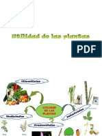 utilidaddelasplantas-110904202612-phpapp02