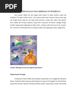 Download SISTEM PERNAFASAN PADA BEBERAPA INVERTEBRATA by Rini Isromarina SN50502097 doc pdf