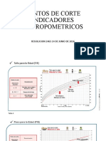 Resolucion 2465 Puntos de Corte