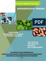 Modul Praktikum Atau Praktek Untuk Setiap Kegiatan Praktikum Atau Praktek (Mikrobiologi Hewan) (Prodi)