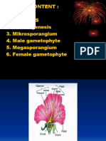 Course Content: Flowers Embriogenesis 3. Mikrosporangium 4. Male Gametophyte 5. Megasporangium 6. Female Gametophyte