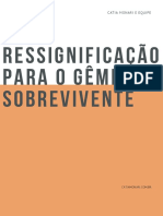 A ressignificação para o gêmeo sobrevivente