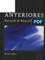 Jan Hajtó - Anteriores Natural & Beautiful Teeth