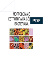 Morfologia e Estrutura Da Celula Bacteriana Aula II