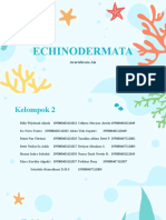 Echinodermata Kelompok 2