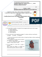 Atividade de Ciencias 5 Ano