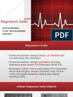 Panduan Pemberian Magnesium Sulfat PDF
