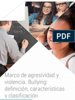 Marco de Agresividad y Violencia