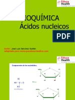 Acidos Nucleicos