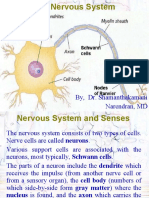 02 Central Nervous Systemppt396